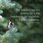 dulyposted_freedom-express_quote-610x610